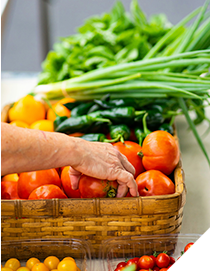 Imagem Alimentos